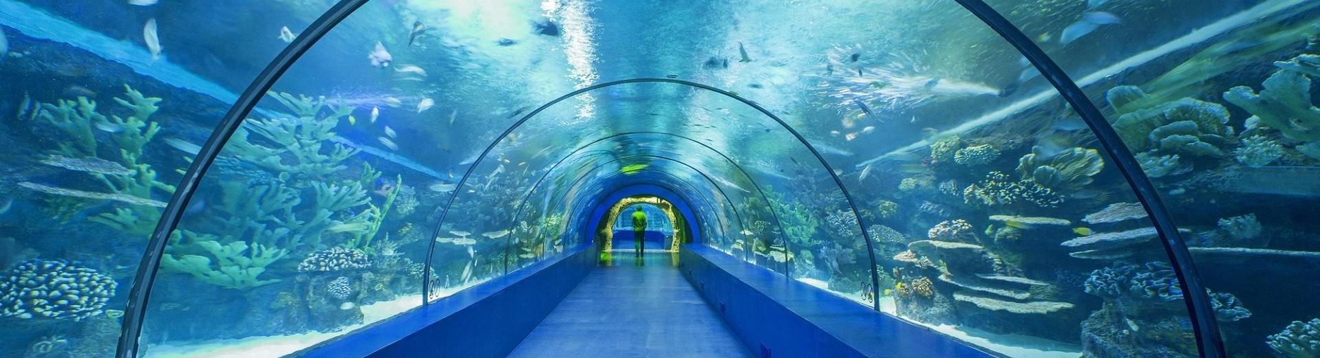 آکواریوم آنتالیا antalya aquarium