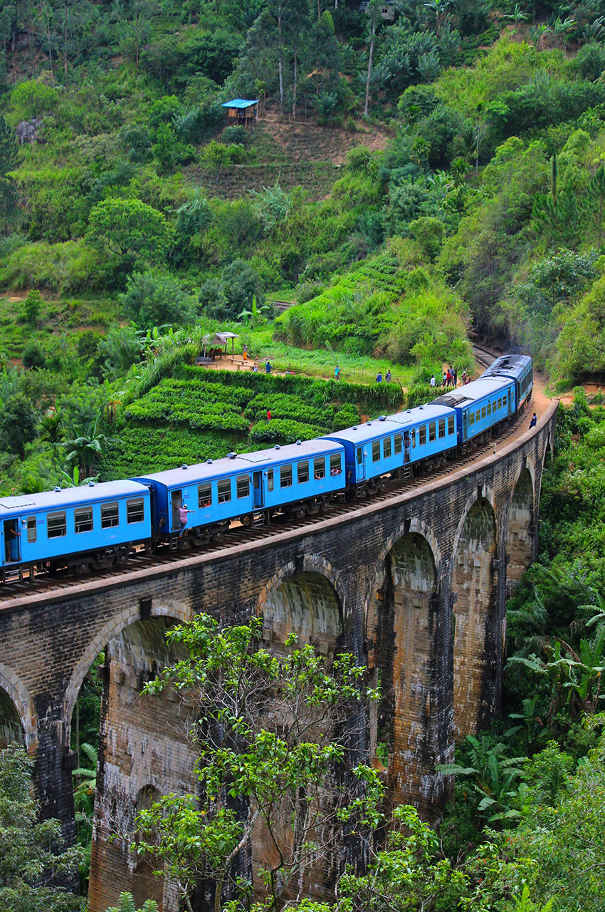 تور کلمبو +کندی+بنتوتا _ ایرعربیا